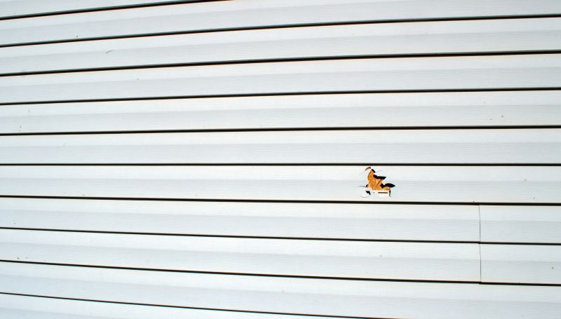 Vinyl Siding Repair Inspection